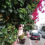 Apartment Family Friendly With A Garden View Tolo