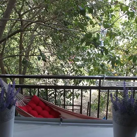 Family Friendly With A Garden View