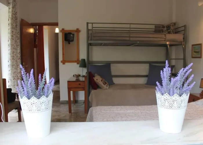 Family Friendly With A Garden View شقة