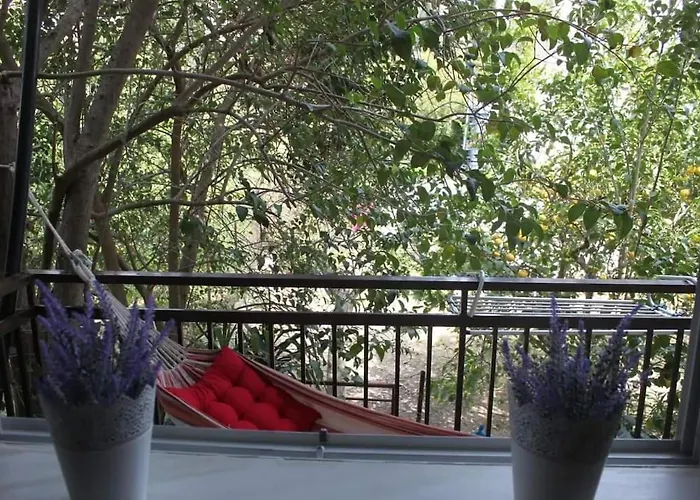 Family Friendly With A Garden View